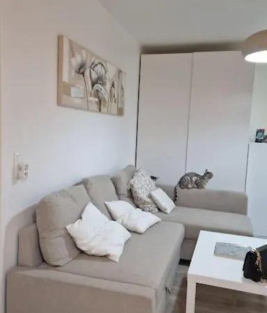 Studio Jardin Et Terrasse